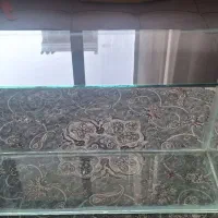 آکواریوم در دار|ماهی|سرپل ذهاب, |دیوار