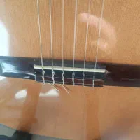 گیتار کلاسیک مارتینز مدل MC-C20|گیتار، بیس، امپلیفایر|پردیس, فاز ۵|دیوار