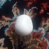 سنگ آسیاب الماس