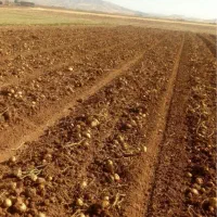 زمین با شرایط پرداخت ویژه