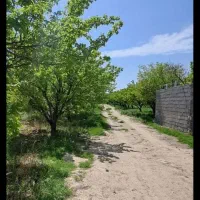 500متری بازمرگان عسگریه املاک عمارت الیاس محمدی