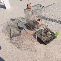 قفس بزرگ برای طوطی سانان