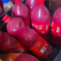 رب گوجه فرنگی خانگی|خوردنی و آشامیدنی|پارس‌آباد, |دیوار