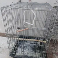 قفس پرنده (عروس و طوطی،مرغ عشق،قناری)