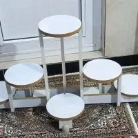 دو اسنتد گل 6 تایی و 3 تایی|کتابخانه، شلف، قفسه‌های دیواری|مریوان, |دیوار