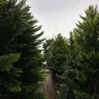 ویلاباغ دوبلکس حیاط مشجر مبله سنداماده شهرکی|فروش خانه و ویلا|تهران, صادقیه|دیوار