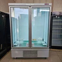 فریزر دو درب فروشگاهی