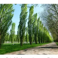فروش-زمین-کشاورزی