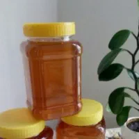 عسل کندو به شرط