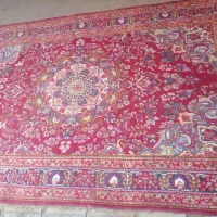 فرش دست باف|فرش|مشهد, طبرسی شمالی|دیوار
