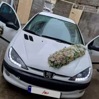 ۲۰۶لوازمی تیپ۵ اسپرت مدل۸۳ عروسک