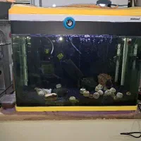 آکواریوم شرکتی با تمام وسایل