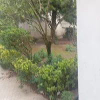 اجاره سوییت یک خواب سلیمان آباد|اجارهٔ کوتاه‌مدت ویلا و باغ|تنکابن, |دیوار