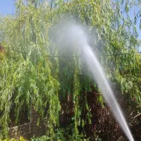 خدمات باغبانی وهرس کردن|خدمات باغبانی و درختکاری|مشهد, توس (بلوار توس)|دیوار
