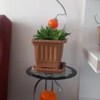 آباژور