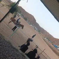 گردش و تفریح کودکان