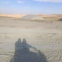 کاه نرم دیم