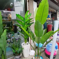 درختچه مصنوعی گل مصنوعی|گل مصنوعی|رشت, سلیمانداراب|دیوار