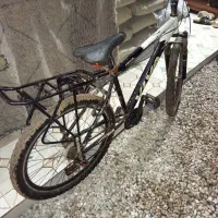 دوچرخه ویوا 26|دوچرخه، اسکیت، اسکوتر|کارون, |دیوار