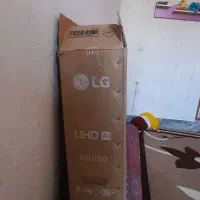 کارتن تلویزیون|تلویزیون و پروژکتور|الشتر, |دیوار