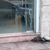 اجاره-مغازه-امیرشهید