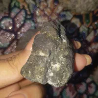 انواع قیمتی|کلکسیون اشیاء عتیقه|تربتحیدریه, پائین ولایت|دیوار