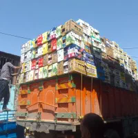 خرید و فروش کارتون موزی|عمده‌فروشی|اسلام‌شهر, شهرک امام حسین (میان آباد)|دیوار