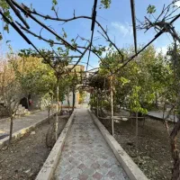 فروش-باغ-ویلا