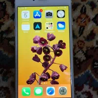 آیفون ۶ iPhone6