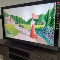 ال سی دی۴۶سونی براویاEX500 اصلی بامیزتلویزیون