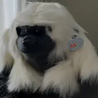 انواع گوریل های پشمالو برند وارداتی مناسب هدیه