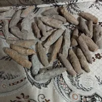فسیل بلمنیته