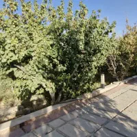 فروش ویلا باغ شیک و دلباز در انجم‌آباد (580متر)|فروش خانه و ویلا|تهران, طرشت|دیوار