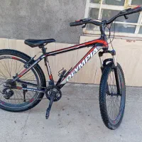 دوچرخه|دوچرخه، اسکیت، اسکوتر|مه ولات, |دیوار