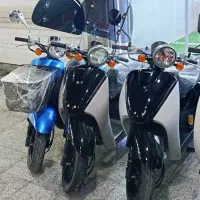 فروشگاه پاکشتی تودی،وینو،اسکوپی بندر دیلم|موتورسیکلت|بندر گناوه, |دیوار