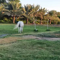 نیازمند کارگر ساده روز مزد برای دو روز کار