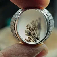 انگشتر شجر نقره