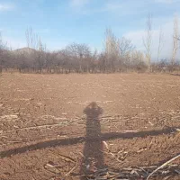 فروش و اجاره زمین کشاورزی|اجارهٔ دفتر صنعتی، کشاورزی، تجاری|فیرورق, |دیوار