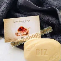 صابون گانودرما ‌تضمینی