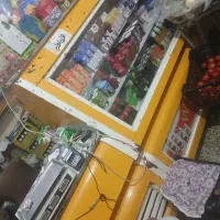یخچال مغازه