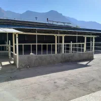 گاوداری|فروش دفتر صنعتی، کشاورزی، تجاری|چگنی, |دیوار