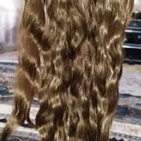 کلاه گیس نو