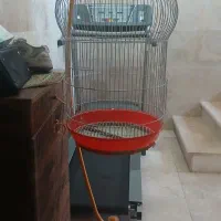 قفس