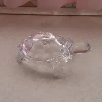 مجسمه لاکپشت شیشه‌ای