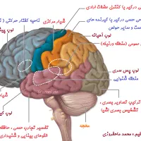 تدریس ززیست شناسی و شیمی متوسطه دوم تقویتی کنکوری