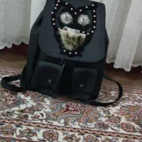 کوله پشتی