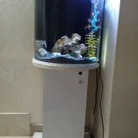 آکواریوم شیشه خم با تمام لوازم کامل