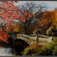 تابلو نقاشی