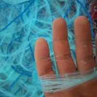 تور راهبند|ماهیگیری|تبریز, |دیوار