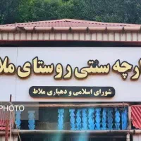 نیروی کار خانم